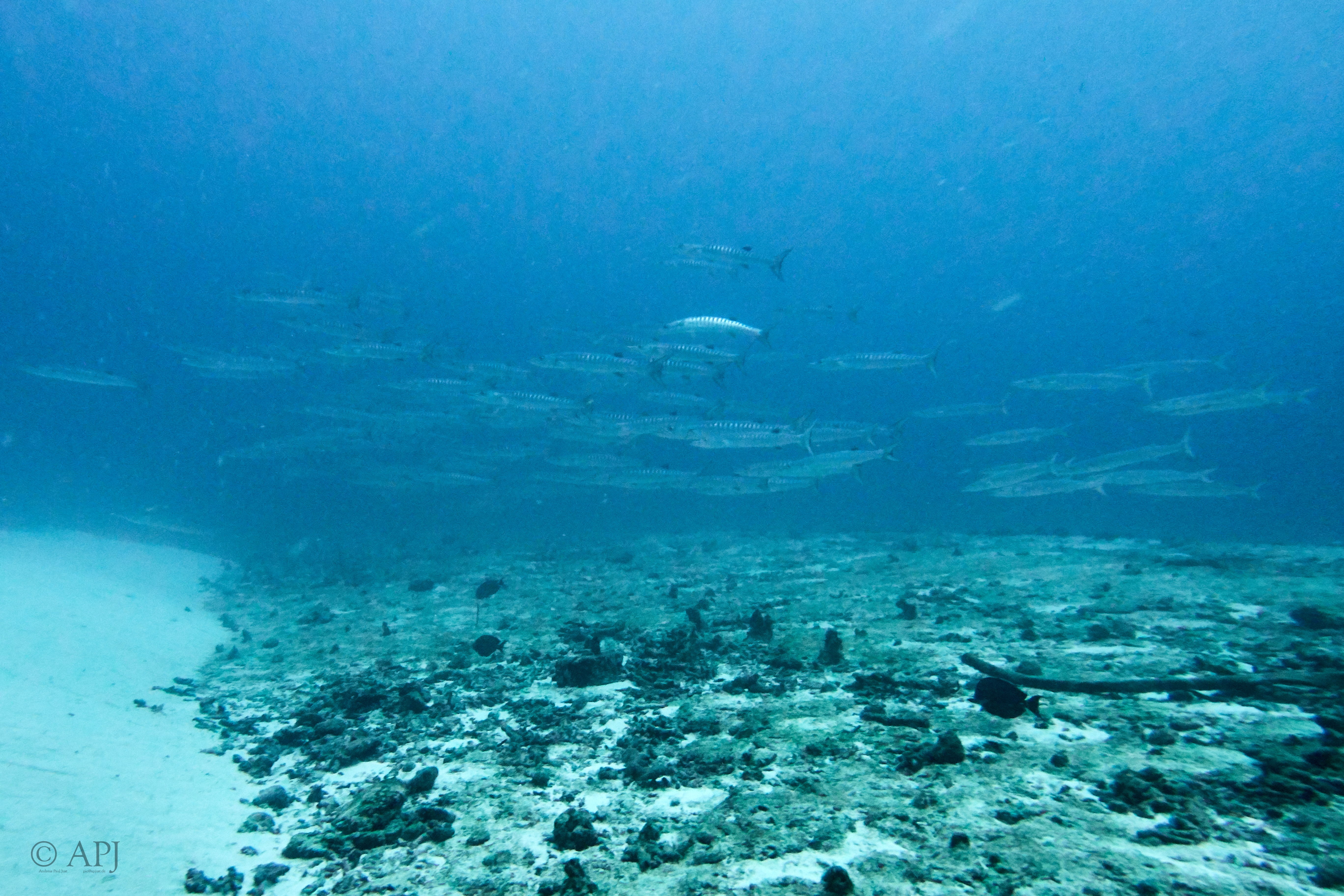 003342 18 08 17  Canon PowerShot G7 X Mark II   Malediven2017